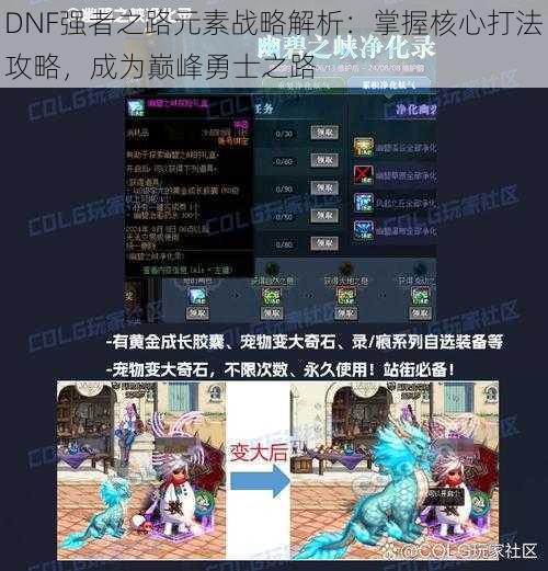 DNF强者之路元素战略解析：掌握核心打法攻略，成为巅峰勇士之路