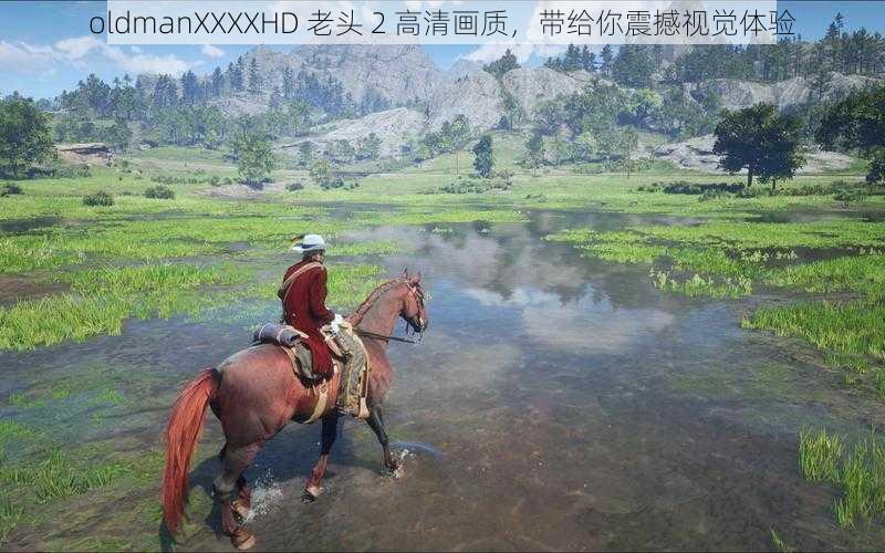 oldmanXXXXHD 老头 2 高清画质，带给你震撼视觉体验